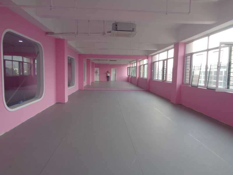 山東舞蹈教室地板 山東省濟(jì)寧市婷婷舞蹈學(xué)校舞蹈教室地板